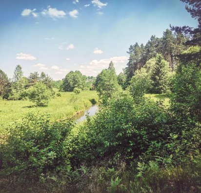 Organizacja spływu kajakowego - kajaki nad Wieprzem