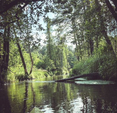 Organizacja spływu kajakowego - kajaki nad Wieprzem